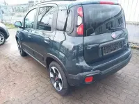 Gebraucht Fiat Panda Cross Cross 69 PS (50 kW) 2024 Grün Kleinwagen