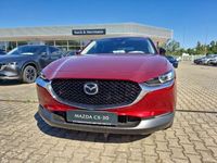Gebraucht Mazda CX-30 Homura-Line 122 PS (89 kW) 2024 Rot SUV