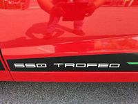 Neu Casalini M20 2025 Rot