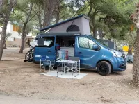 Gebraucht Nissan NV300 170 PS (125 kW) 2020 Blau Van