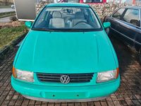 Usata VW Polo 45 CV (33 kW) 1996 Verde Utilitaria