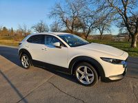Gebraucht Mazda CX-30 Selection 179 PS (131 kW) 2020 Weiß SUV