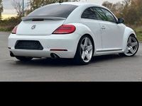 gebraucht VW Beetle Sport!!