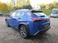 gebraucht Lexus UX 300e Luxury Line