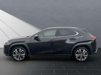 Gebraucht Lexus UX 250h 184 PS (135 kW) 2023 Schwarz SUV