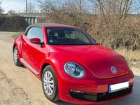 Gebraucht VW Beetle Allstar 105 PS (77 kW) 2016 Rot Kleinwagen