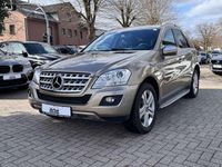 Gebraucht Mercedes ML320 224 PS (164 kW) 2009 Sanidinbeige  metalliclack SUV