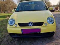 Gebraucht VW Lupo 50 PS (36 kW) 2004 Gelb Kleinwagen