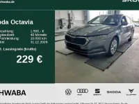 Gebraucht Skoda Octavia Style 150 PS (110 kW) 2023 Grau Kombi
