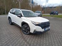 Neu Subaru Forester Exclusive+ 136 PS (100 kW) 2026 Weiß SUV
