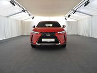 gebraucht Lexus UX 300e 300e Komfort-Paket LED/CAR-PLAY/KAMERA/17