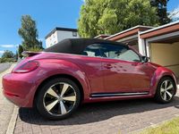 Gebraucht VW Beetle Edition 105 PS (77 kW) 2017 Andere farben Kleinwagen