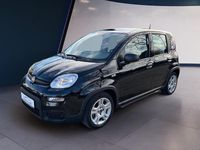 Gebraucht Fiat Panda 69 PS (50 kW) 2024 Schwarz Kleinwagen