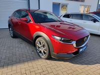 Gebraucht Mazda CX-30 Selection 186 PS (136 kW) 2022 Rot SUV