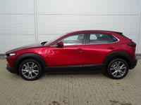 gebraucht Mazda CX-30 2.0l (150PS) Exclusive Navi Kamera 18" Alufelgen N