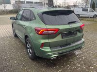 Gebraucht Ford Kuga ST-Line X 152 PS (111 kW) 2024 Bursting green SUV