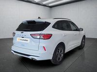 Gebraucht Ford Kuga ST-Line X 190 PS (139 kW) 2023 Weiß SUV