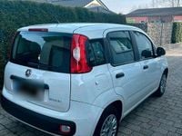 Gebraucht Fiat Panda 70 PS (51 kW) 2021 Weiß Kleinwagen