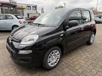 Neu Fiat Panda 69 PS (50 kW) 2025 Cinema schwarz Kleinwagen