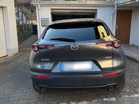 Gebraucht Mazda CX-30 Selection 116 PS (85 kW) 2020 Grau SUV