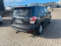 Gebraucht Subaru Forester Trend 150 PS (110 kW) 2019 Grau SUV