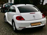 Gebraucht VW Beetle Design 105 PS (77 kW) 2013 Weiß Kleinwagen