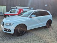 Gebraucht Audi SQ5 Sport 313 PS (230 kW) 2013 Weiß SUV