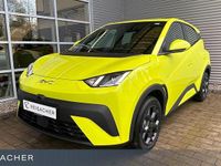 Neu BYD Dolphin Surf Boost 114 kW (156 PS) 2026 Kleinwagen