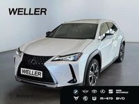 Gebraucht Lexus UX 250h 184 PS (135 kW) 2022 Weiss SUV