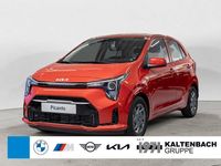 Neu Kia Picanto Vision 68 PS (50 kW) 2026 Rot Kleinwagen