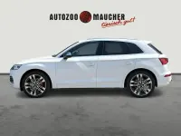 Gebraucht Audi SQ5 Comfort 347 PS (255 kW) 2020 Ibisweiß SUV