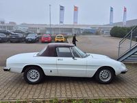 Gebraucht Alfa Romeo Spider 116 PS (85 kW) 1981 Weiß Cabrio