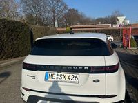 Gebraucht Land Rover Range Rover evoque R-Dynamic 309 PS (227 kW) 2021 Weiß SUV