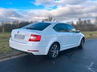 Gebraucht Skoda Octavia Drive 116 PS (85 kW) 2017 Weiß Limousine