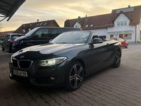 Gebraucht BMW 228 Advantage 245 PS (180 kW) 2015 Grau Cabrio