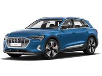 Gebraucht Audi e-tron Advanced 300 kW (408 PS) 2019 Antiguablau metallic SUV