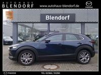 gebraucht Mazda CX-30 Selection 122 360° Monitor|Navigation|Login