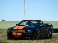 Gebraucht Ford Mustang GT Convertible 305 PS (224 kW) 2006 Schwarz Cabrio