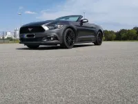 Occasion Ford Mustang 317 ch (233 kW) 2017 Gris Cabriolet
