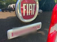 gebraucht Fiat Scudo 