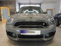Gebraucht Mini Cooper S Countryman 224 PS (164 kW) 2019 Grau SUV