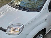 Gebraucht Fiat Panda Easy 69 PS (50 kW) 2018 Weiß Kleinwagen