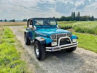 Gebraucht Jeep Wrangler 121 PS (88 kW) 1993 SUV