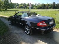 Gebraucht Mercedes CLK200 163 PS (119 kW) 2003 Blau Cabrio