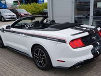 gebraucht Ford Mustang 2.3 EcoBoost *Cabrio*Premium*Kam*TOP