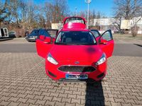 Gebraucht Ford Focus Ambiente 101 PS (74 kW) 2016 Rot Limousine