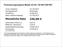 Gebraucht Mazda CX-30 Selection 179 PS (131 kW) 2020 Grau SUV
