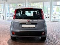 Gebraucht Fiat Panda Easy 69 PS (50 kW) 2020 Grau Kleinwagen