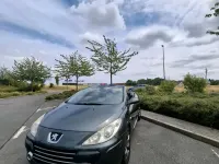 Gebraucht Peugeot 307 CC 140 PS (102 kW) 2006 Grau Cabrio