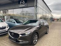 Gebraucht Mazda CX-30 Selection 179 PS (131 kW) 2020 Grau SUV